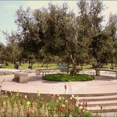 B&B El Olivar Lima Dış mekan fotoğraf