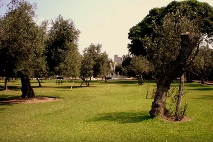 B&B El Olivar Lima Dış mekan fotoğraf