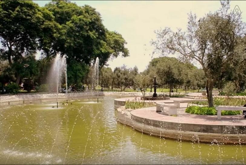B&B El Olivar Lima Dış mekan fotoğraf