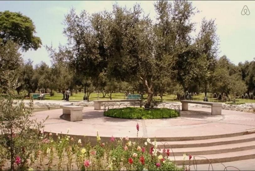B&B El Olivar Lima Dış mekan fotoğraf